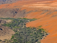 p6210412 1  namibia_2016