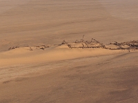 p6210473 1  namibia_2016