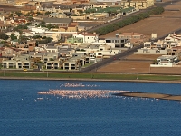 p6210515 1  namibia_2016
