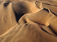 p6211883 1  namibia_2016