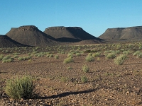 p6140196 1  namibia_2016