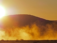 p6180035 1  namibia_2016