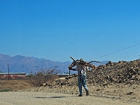 p6231986 1  namibia_2016