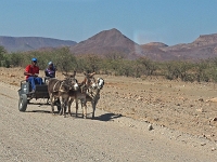 p6242103 1  namibia_2016