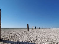 p6260514 1  namibia_2016