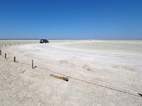 p6260517 1  namibia_2016