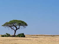 p6262320 1  namibia_2016