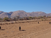 p6302671 1  namibia_2016