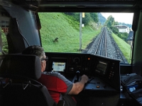 Fahrt nach Interlaken  Schweiz mit der Bahn im August 2021 : Bahn, Schweiz, 2021