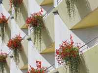 Interlaken  Schweiz mit der Bahn im August 2021 : Bahn, Schweiz, 2021