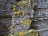 Zermatt - altes Dorf  Schweiz mit der Bahn im August 2021 : Bahn, Schweiz, 2021