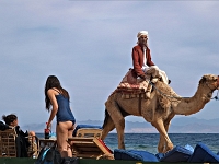 Sinai 08  Sinai_2010