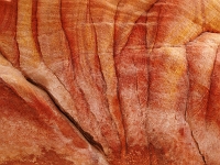 Sinai 11  Sinai_2010