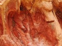 Sinai 14  Sinai_2010