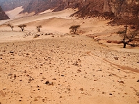 Sinai 17  Sinai_2010