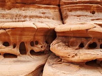 Sinai 22  Sinai_2010