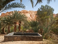 Sinai 27  Sinai_2010