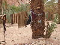 Sinai 28  Sinai_2010