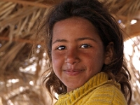 Sinai 29  Sinai_2010