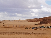 Sinai 33  Sinai_2010