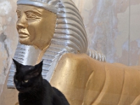 Sinai 34  Stadt Dahab