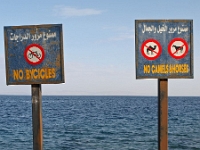 Sinai 38  Stadt Dahab