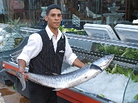 Sinai 44  Stadt Dahab