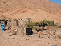 Sinai 49  Sinai_2010