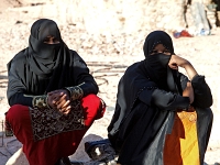 Sinai 50  Sinai_2010