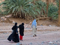 Sinai 52  Sinai_2010