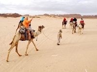 Sinai 54  Sinai_2010