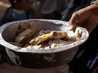 Sinai 58  Sinai_2010