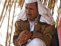 Sinai 61  Sinai_2010