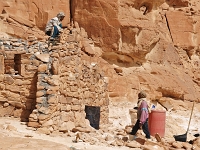 Sinai 66  Sinai_2010