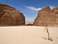 Sinai 69  Sinai_2010