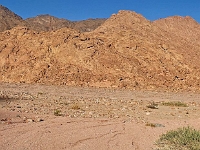 Sinai 87  Sinai_2010