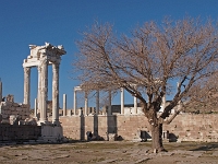 P1101855 1  Pergamon