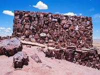 Petrified-Forest 3 1