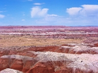 Petrified-Forest 7 1