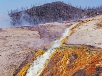 Yellowstone-Nationalpark 11 1