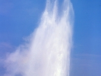 Yellowstone-Nationalpark 25 1