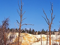 Yellowstone-Nationalpark 26 1