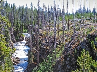 Yellowstone-Nationalpark 28 1