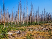 Yellowstone-Nationalpark 2 1