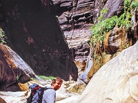 Zion-Canyon 7 1