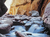 Zion-Canyon 9 1