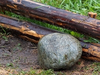 p9067482 1  Highland Games 2015