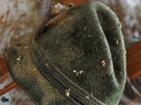 Saege 32  Saegewerk Jachenau