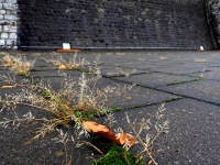 im Wasserschloss  Kraftwerk Walchensee