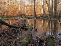 PB080021 SW 1  MÃ¼nchen-Starnberg an der WÃ¼rm : Würm